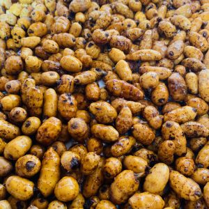 tigernuts xxl