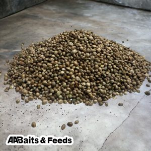 Hemp Seed (Large-Chinese)